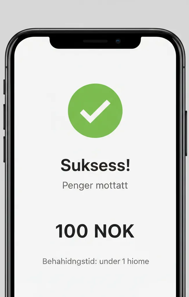 Pengene kom inn på Neteller‑kontoen